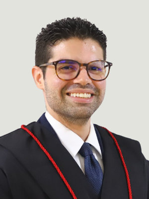 PEDRO DE FIGUEIREDO FERNANDES TELLES